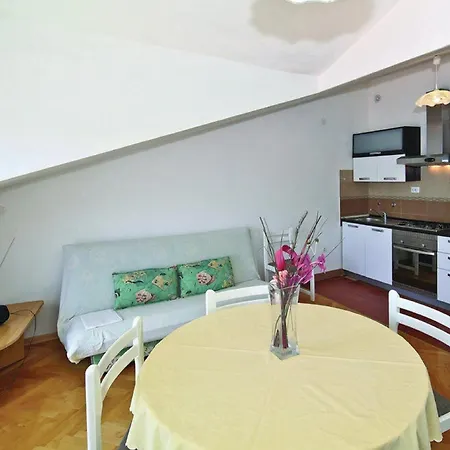 Halilovic 特罗吉尔