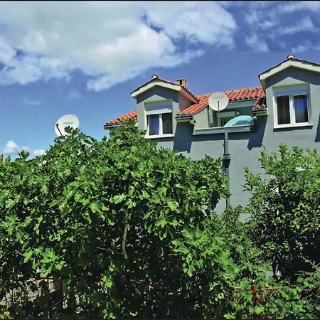 Halilovic 트로기르